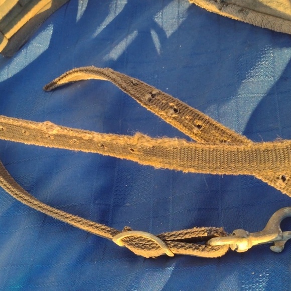 Equestrian Strap - Picture 3 of 3